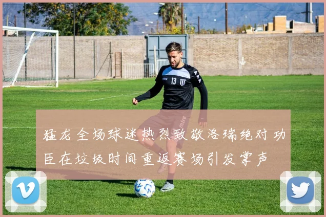 猛龙全场球迷热烈致敬洛瑞绝对功臣在垃圾时间重返赛场引发掌声